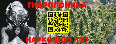 индика Пенза