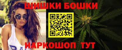 индика Пенза