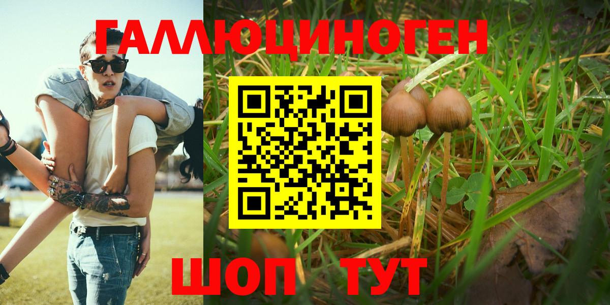 Псилоцибиновые грибы MAGIC MUSHROOMS Сунжа