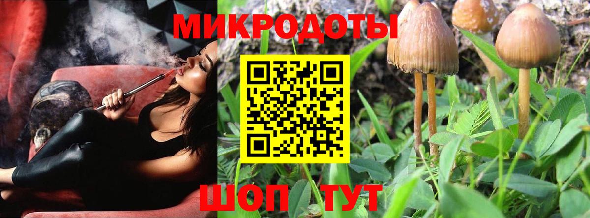 Галлюциногенные грибы мухоморы  Вход с VPN  Псилоцибиновые грибы MAGIC MUSHROOMS  Сунжа 