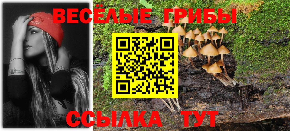 ЭКСТАЗИ Сунжа